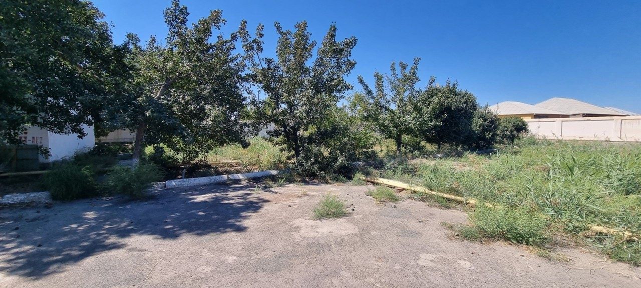 Кушкупир тумани Охунбобой кишлогидаТурор жой урин сотилади 3063 м2