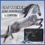 Найди скот в случае кражи GPS для Лошадей Доставка в Костанай!