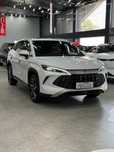 Byd song L DM-i nalichida