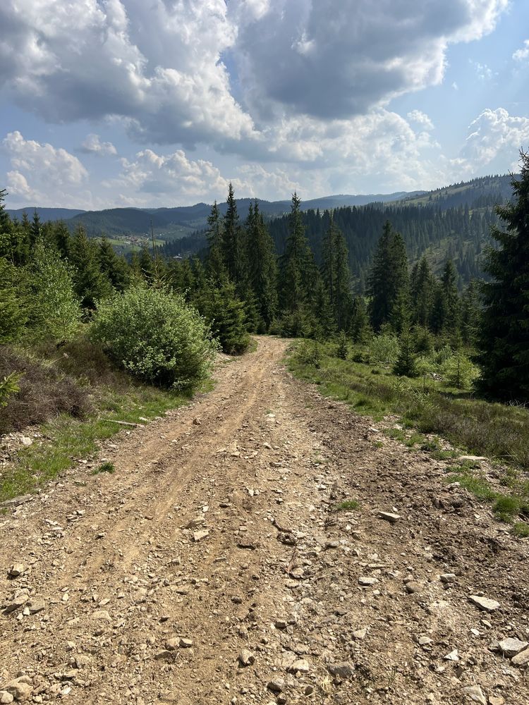 Teren la munte cu anteproiect cabana
