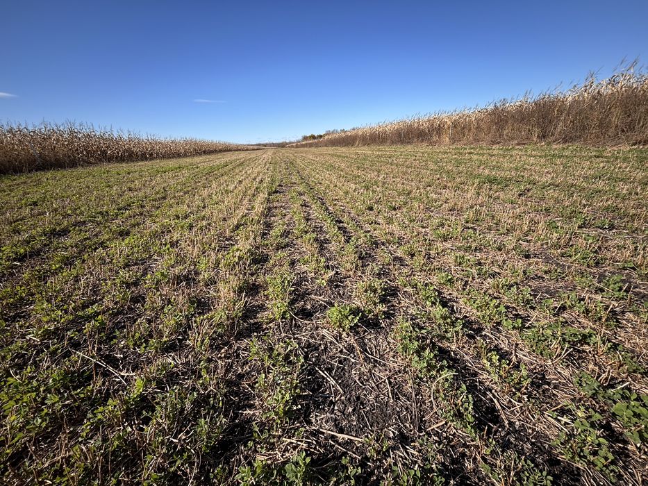 Teren de vanzare 3260Mp2