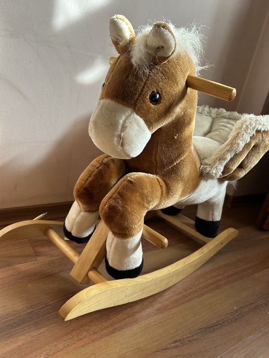 Люлеещо се конче