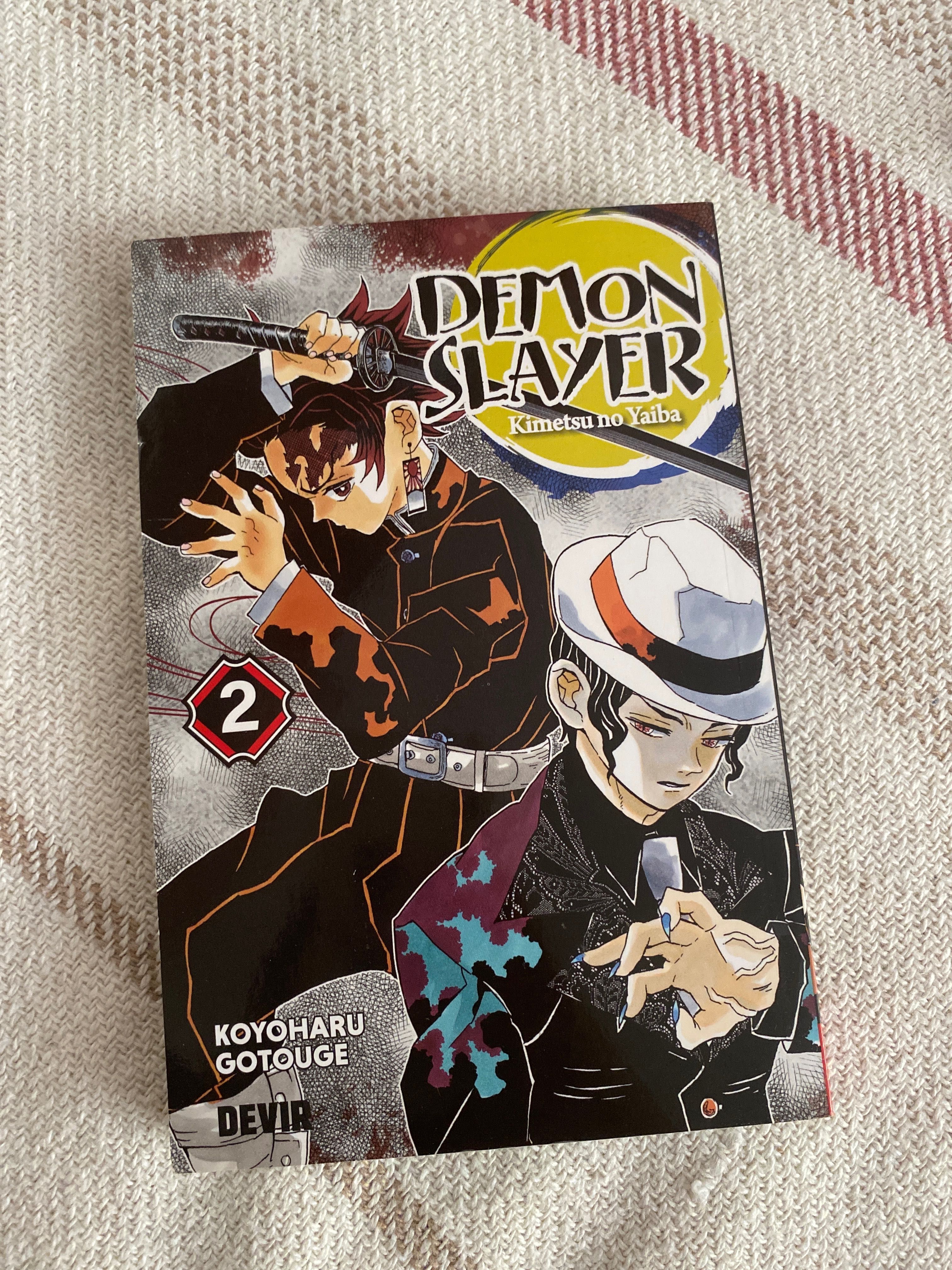 Demon Slayer (kimetsu no yaiba) 1 - 3 vol