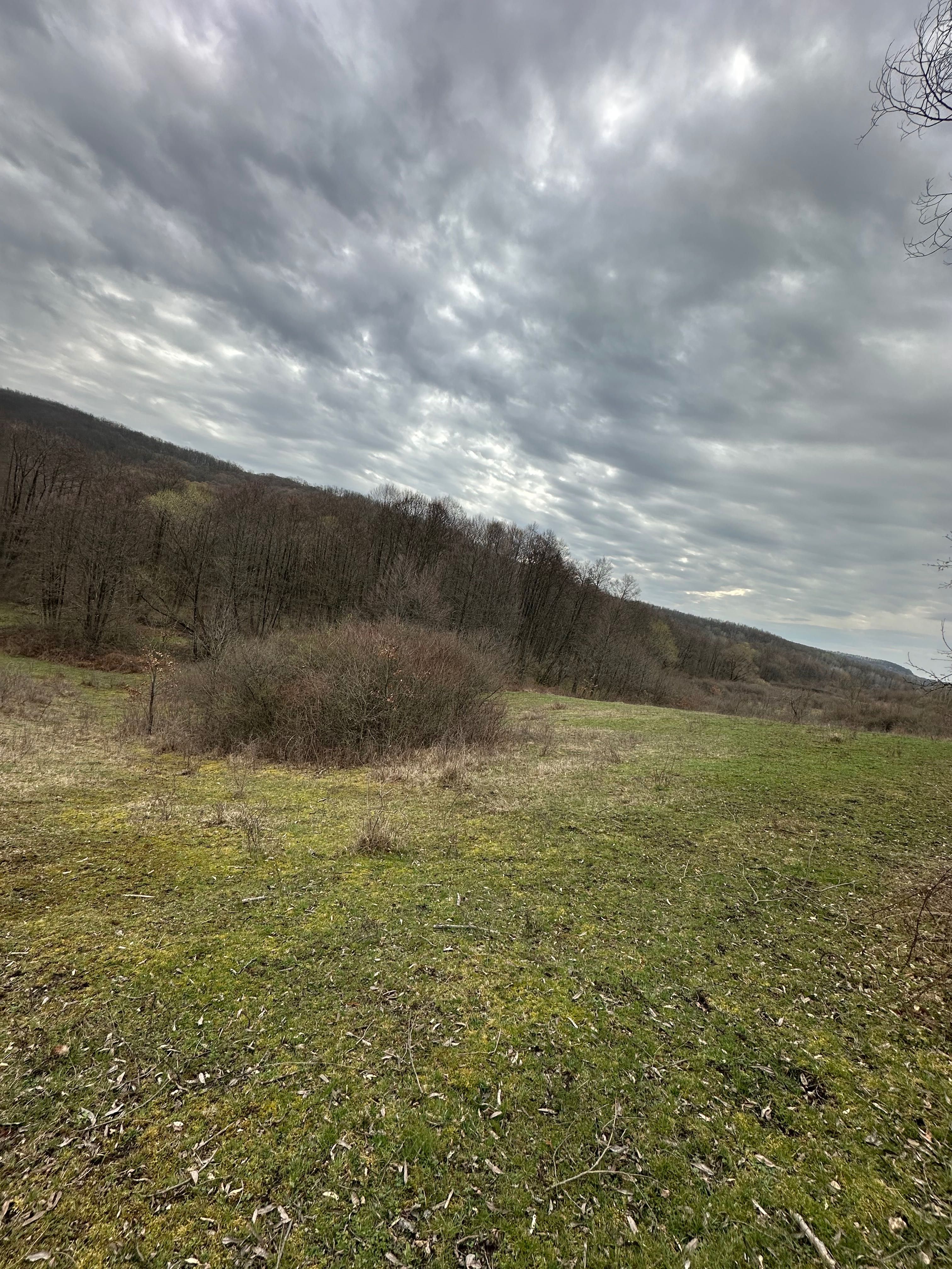 Vând teren extravilan în localitatea Dragesti, Bihor. 2000mp
