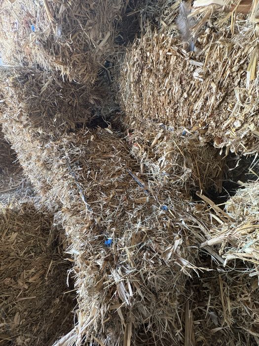 Продавам Бали  от царивичак.