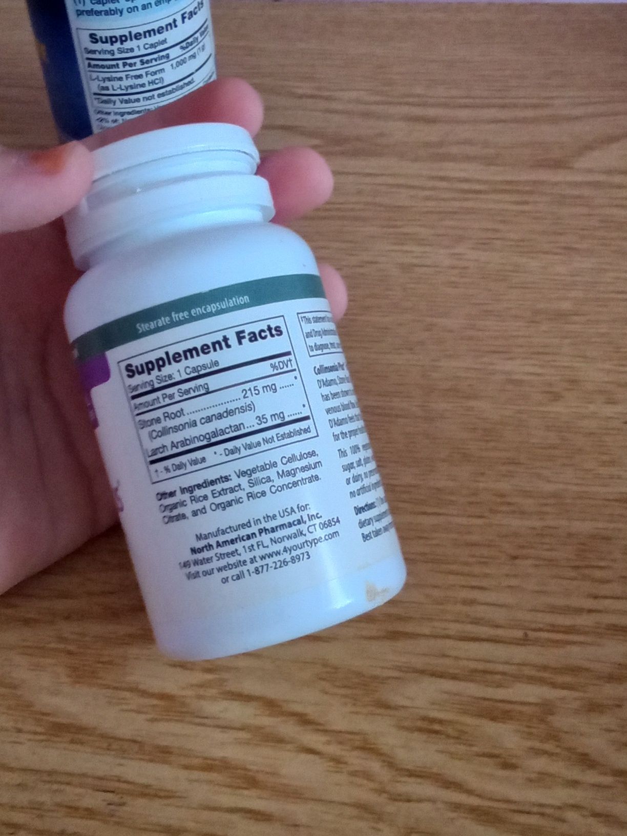 Collinsonia Plus