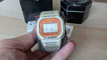 Casio DW5600LS-7 G-Shock