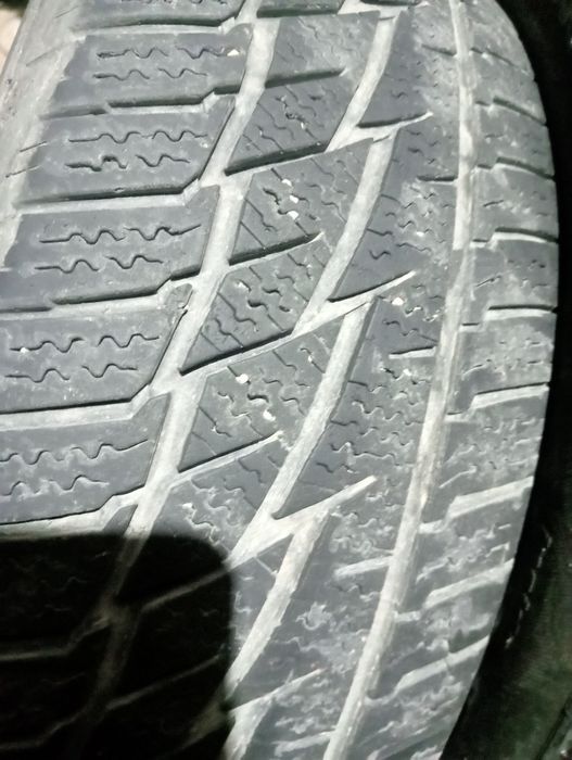 Шины 2 шт матадор