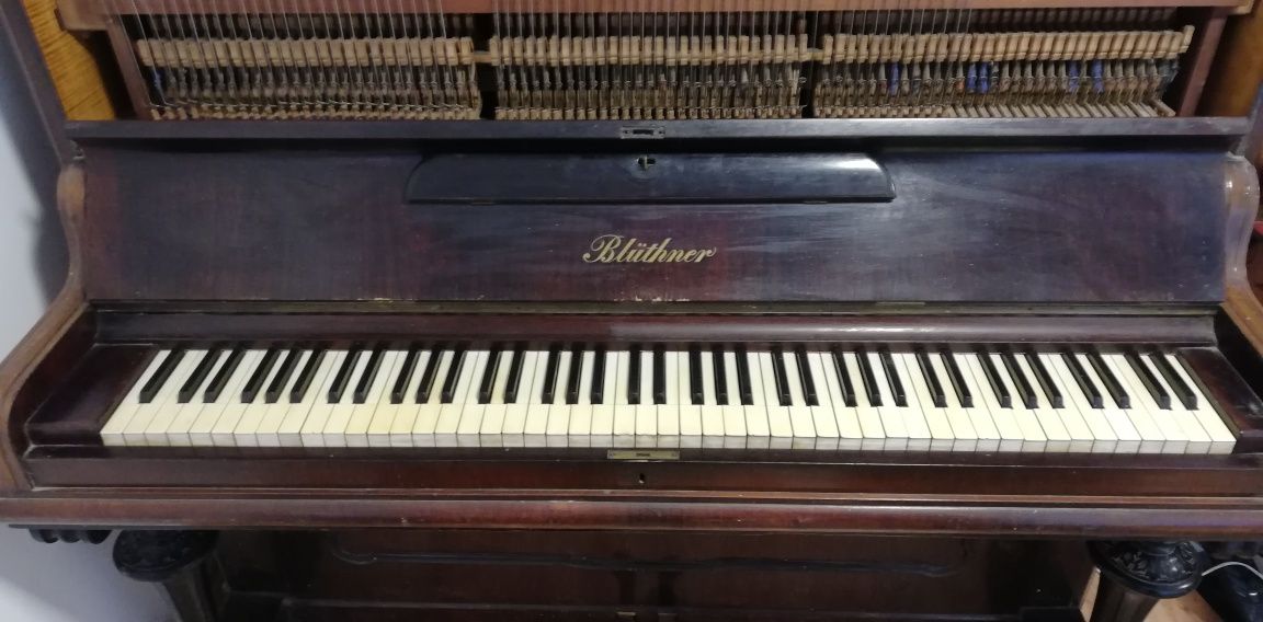 Pianina Bluthner, anii 1870