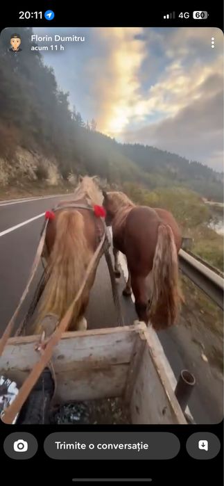 Vand manz sau schimb