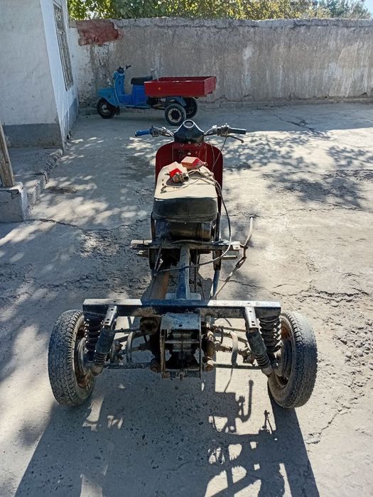 Муравейлар родной