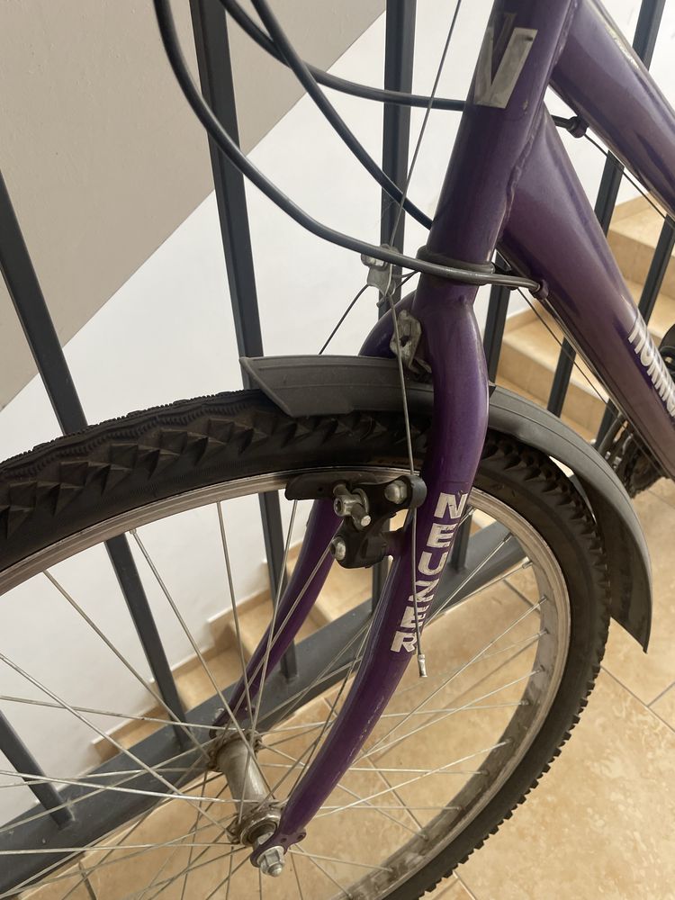Bicicleta fete mov
