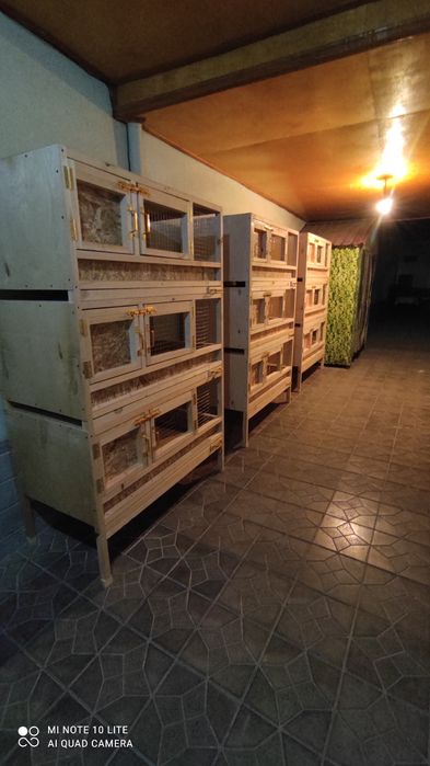 Quyon va tovuq qush uchun qafaslar