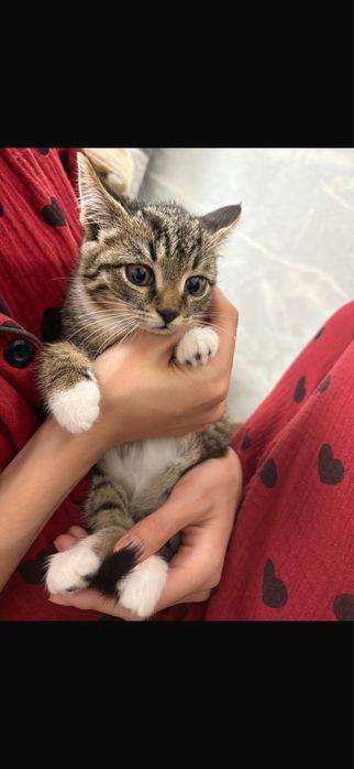 Лапочка- Мишель!