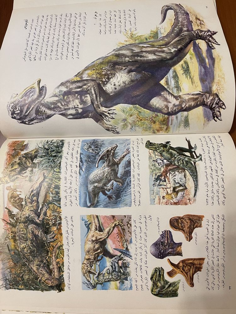 Две прекрасно иллюстрированные книги о природе на арабском языке.