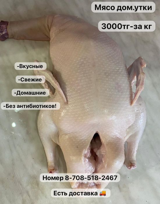 Продам мясо дом.уток