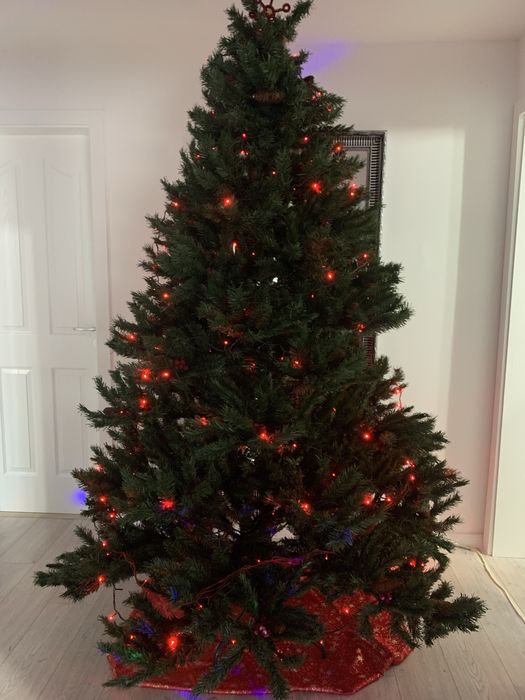 Brad cu conuri si fructe rosii 2,3 m