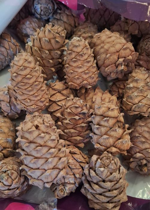 Продаю кедровые шишки с орешками