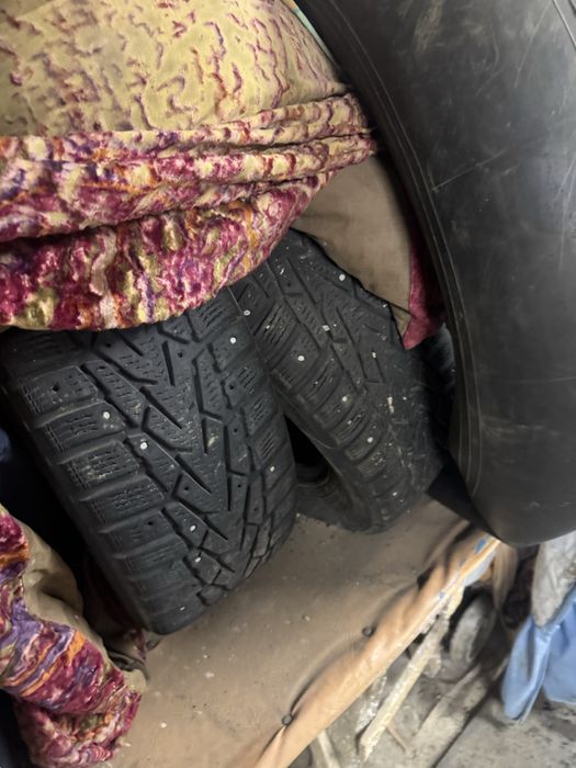 Шина зимние на акцент