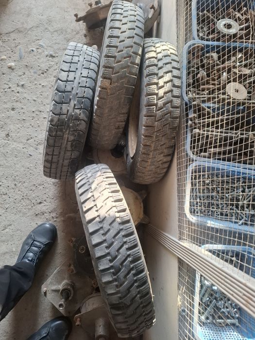 Муравей балонлар