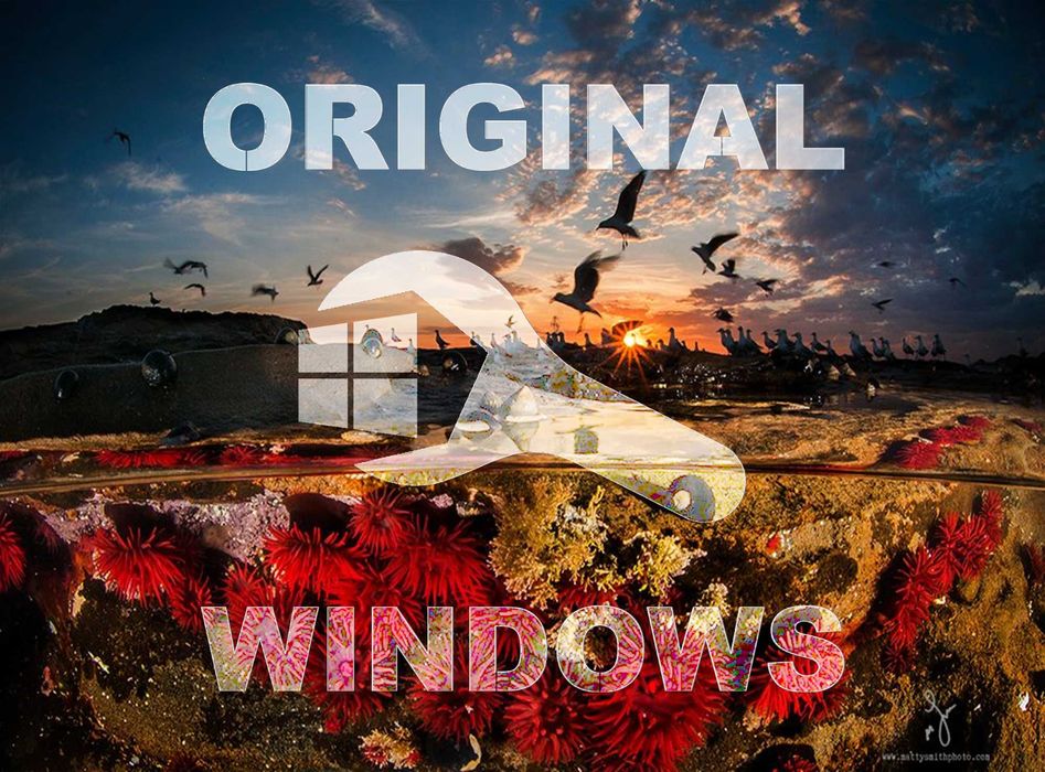 Виндус 11 | 10 лицензия и программой офис для Windows