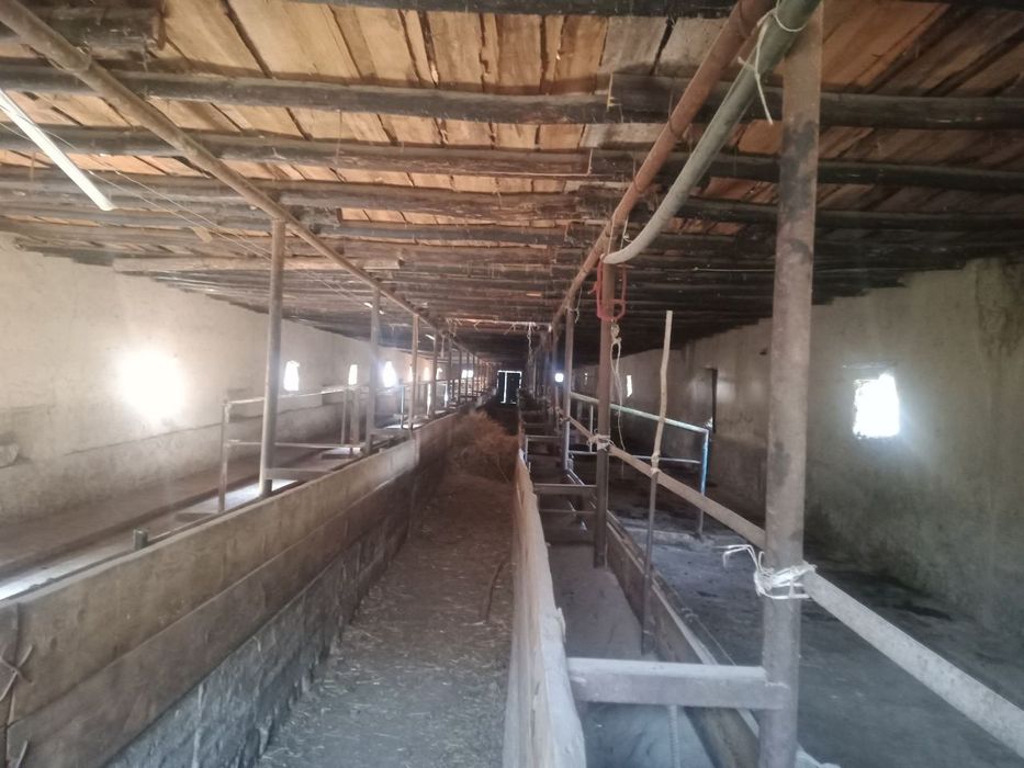 Hamma sharoiti bor tayor ferma ijaraga beriladi 400 kv.m