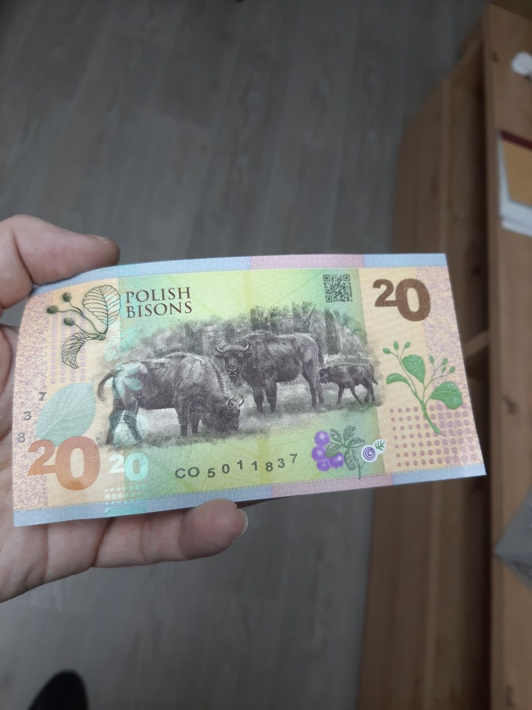 Unicat/colectie Bancnota originala Polonia. Nouă