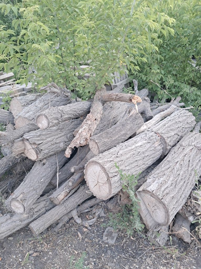 Продам дрова много