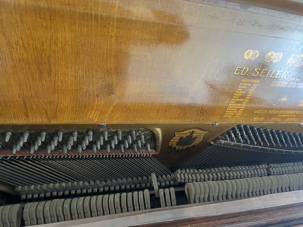 Paul Friedrich Neisse 50539