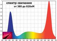 для теплиц и помещений с растениями фито-лампы есть разные варианты