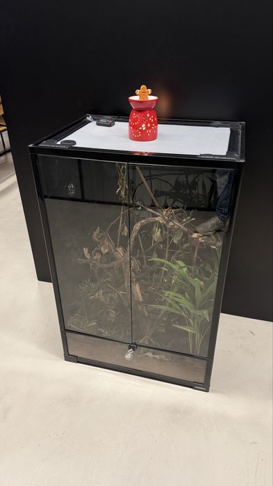 Terariu pentru cameleon – stare foarte bună