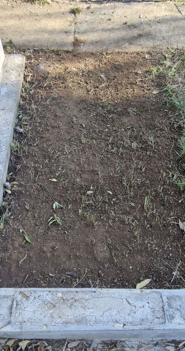 Vand loc Veci  Cimintirul Ghencea civil .. 1×3 pret 5000 Euro