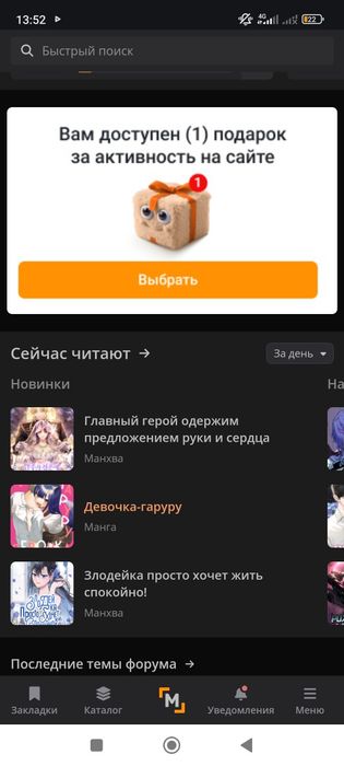 продоётся породистая кошка порода (шотланская шиншила)