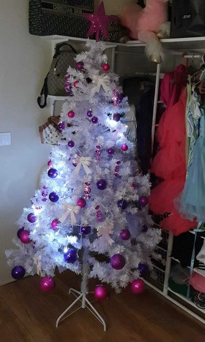 Бяла елха висока 1.80