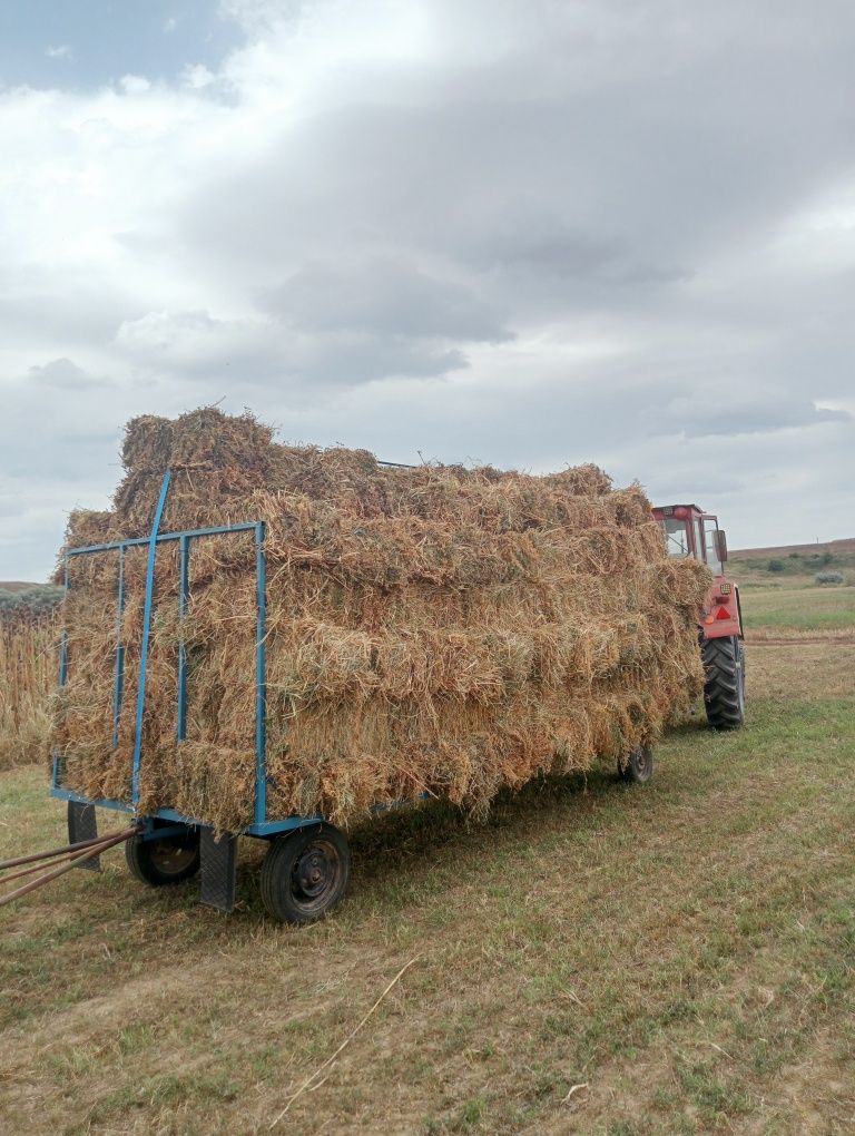 Vând baloți de lucernă coasa a4