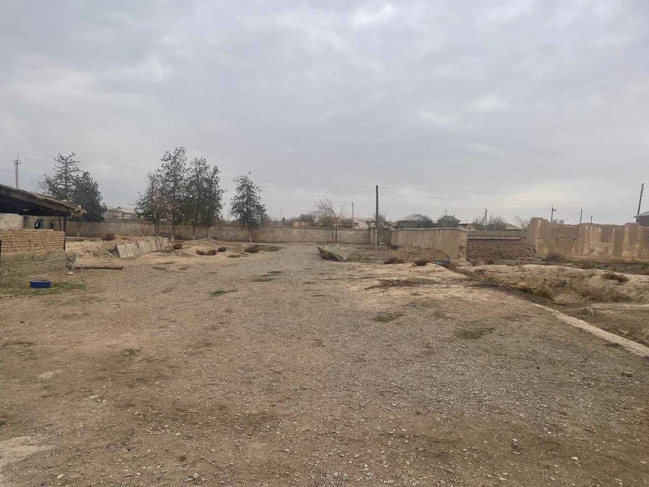 G`uzor tumanida Chorvachilik binosi bolib tolash sharti bilan sotiladi