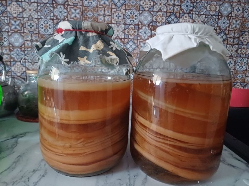 Чайного гриба целебный напиток