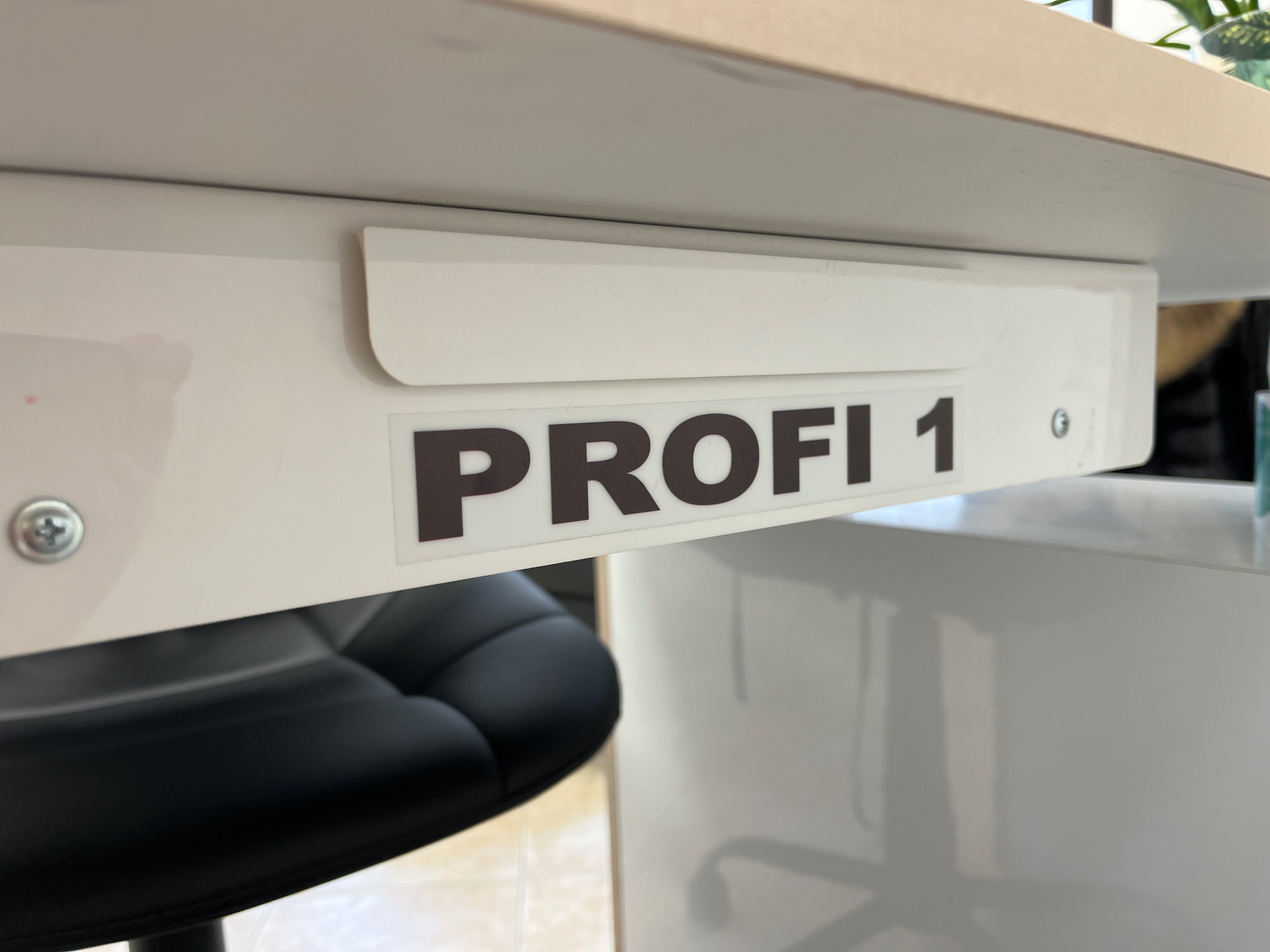 Прахоуловител Profi 1