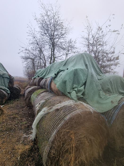 Baloti de fân si paie