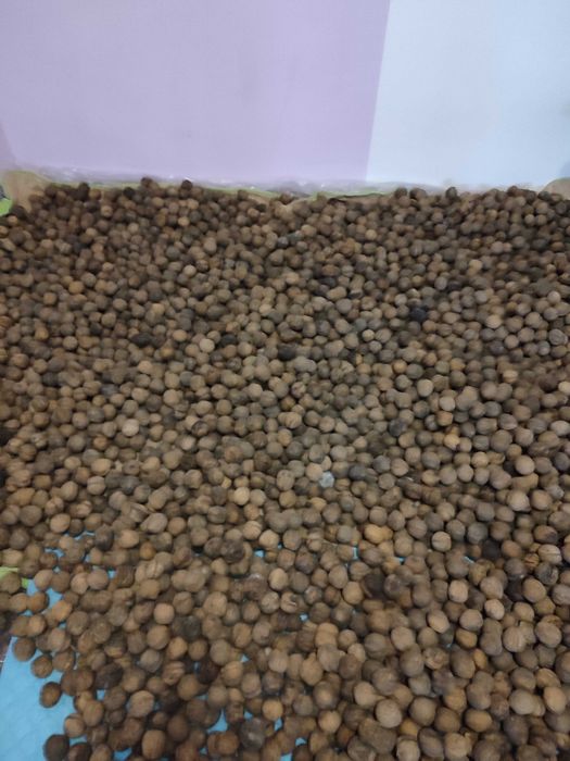 Продавам орехи 90кг на цена 6,00лв за килограм. Получаване от адрес.