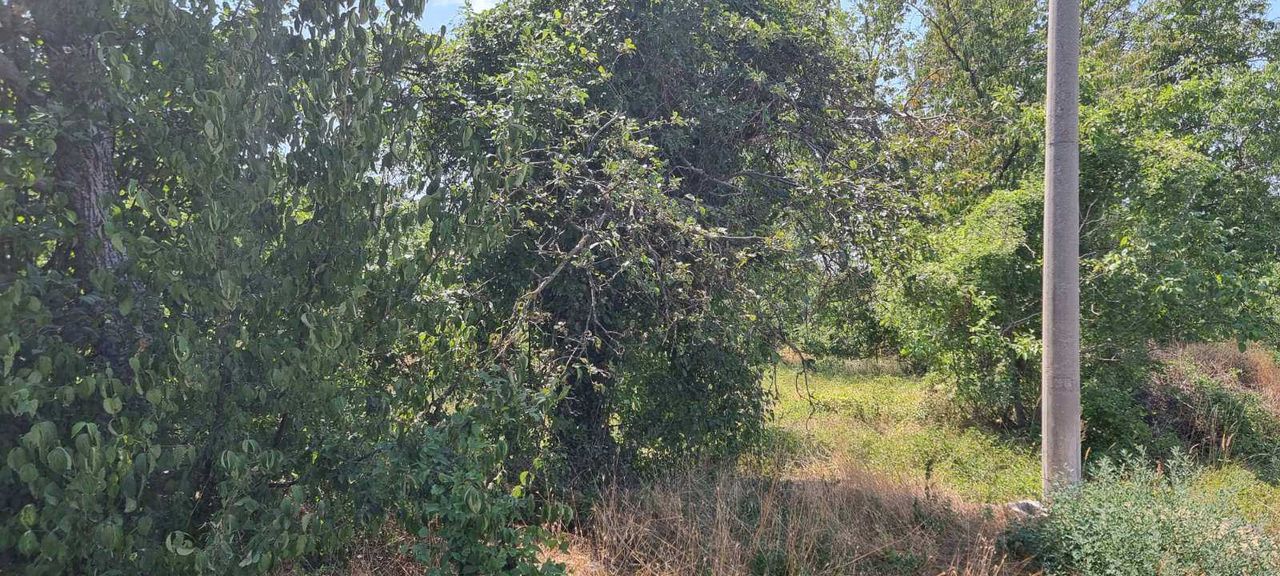 Продава се Парцел в Разград, Промишлена зона - Запад - 800 кв.м за 75 €/кв.м - Снимка #3