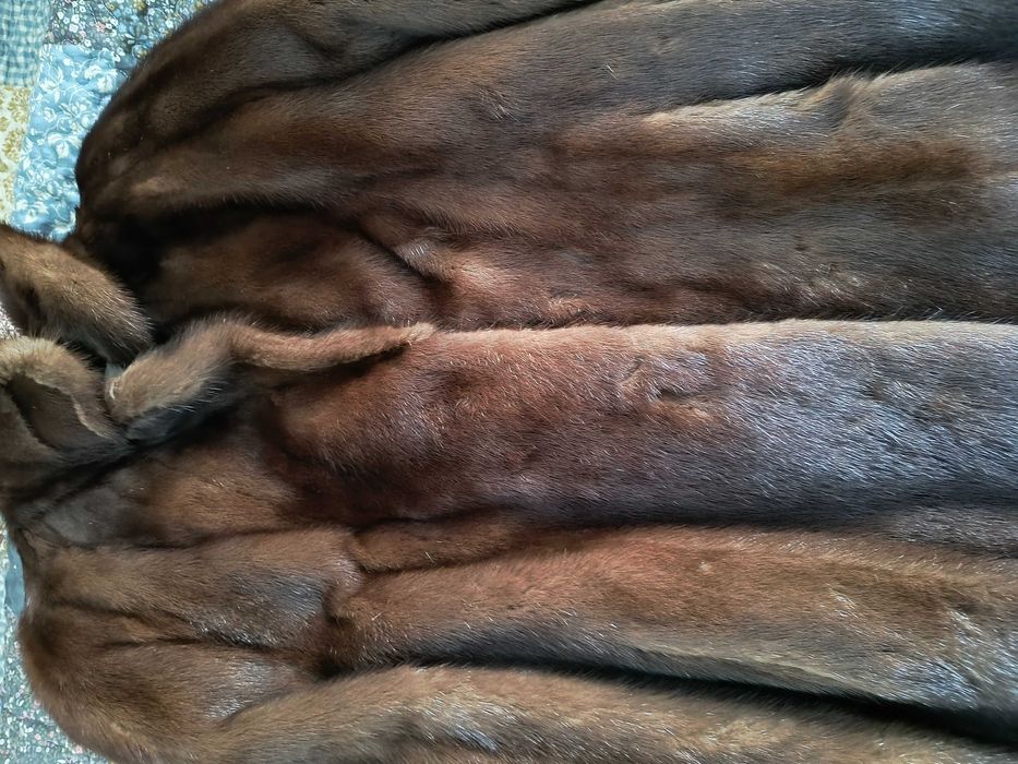 vand haina blana nutrie/nurca