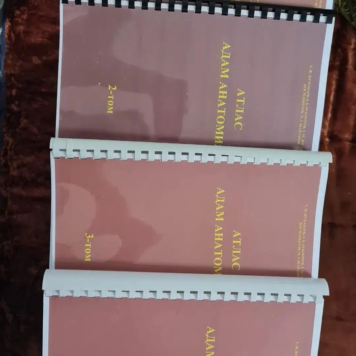 Атласанатомиичеловека. Адам анатомиясы Синельников казакша