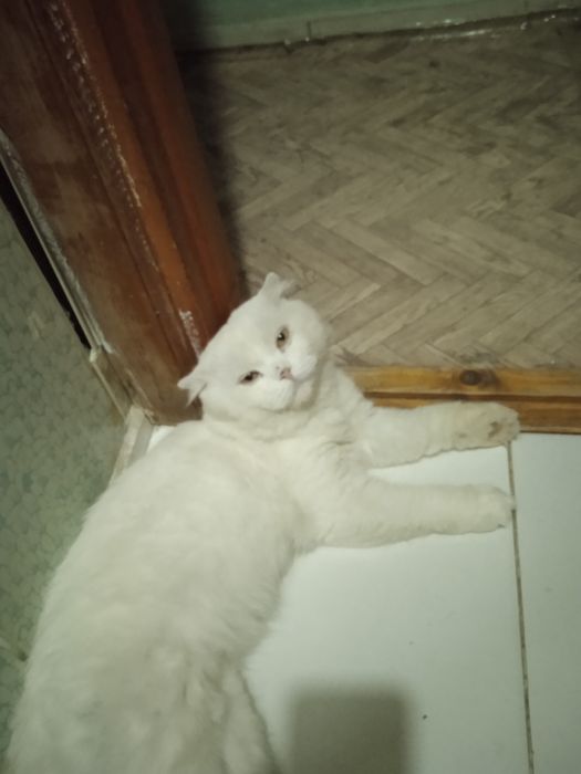 Приглашаем на вязку !!