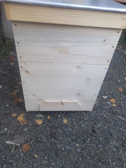 Cutii stupi familii+cat