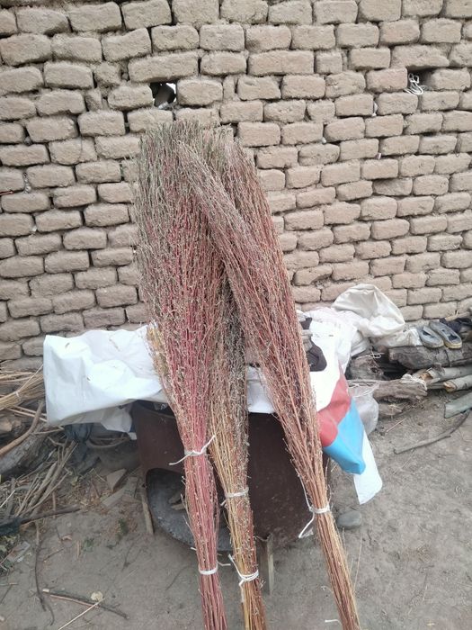 Qauli wipirgilar sotiladi 30mingdan