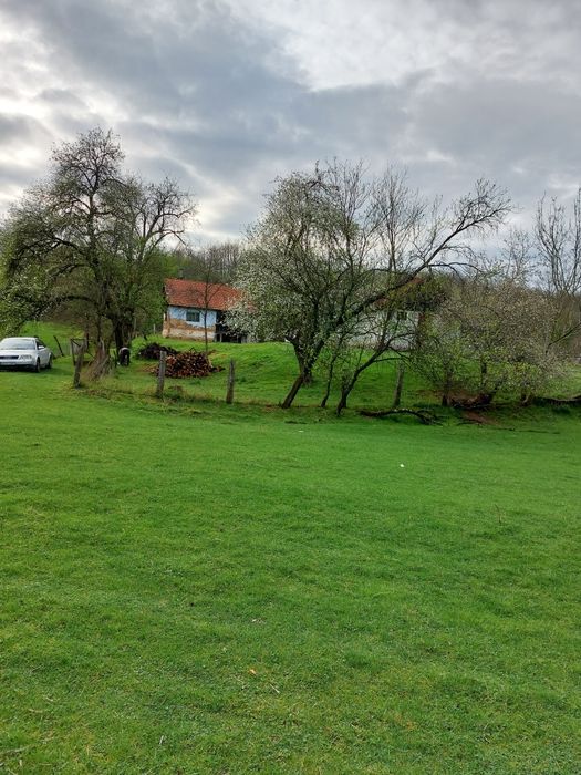 Vând Teren + Casa și anexe