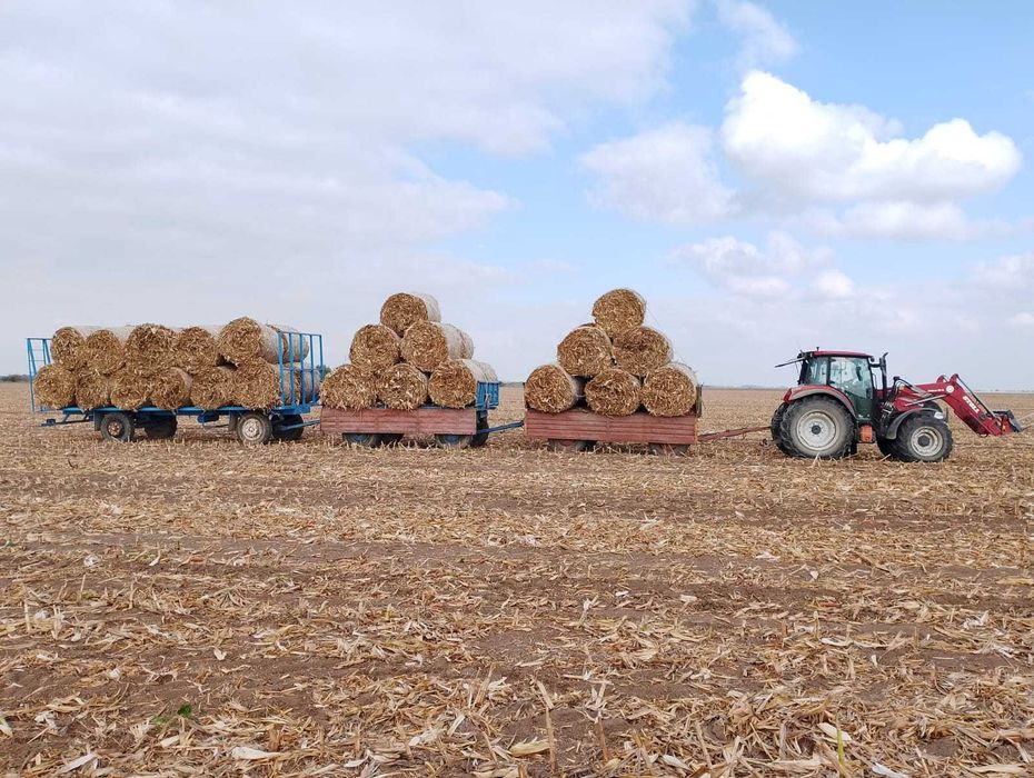 Vand baloti Tocatura de porumb (tulheni)