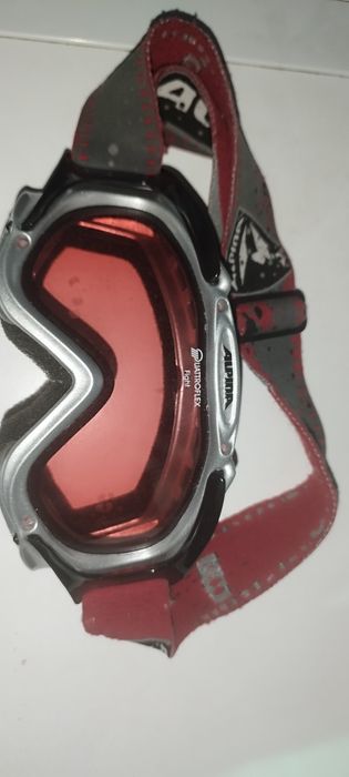 Ски очила Alpina QuattroFlex Fight