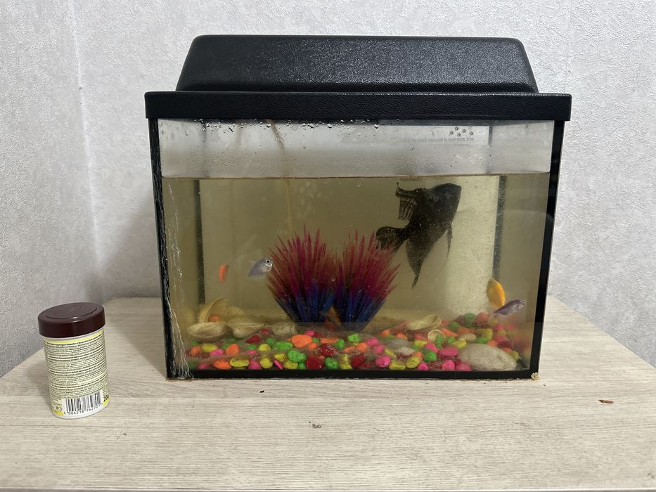 Акварим с рыбками